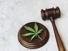 Para STJ, descriminalização da maconha pelo STF não vale dentro do presídio