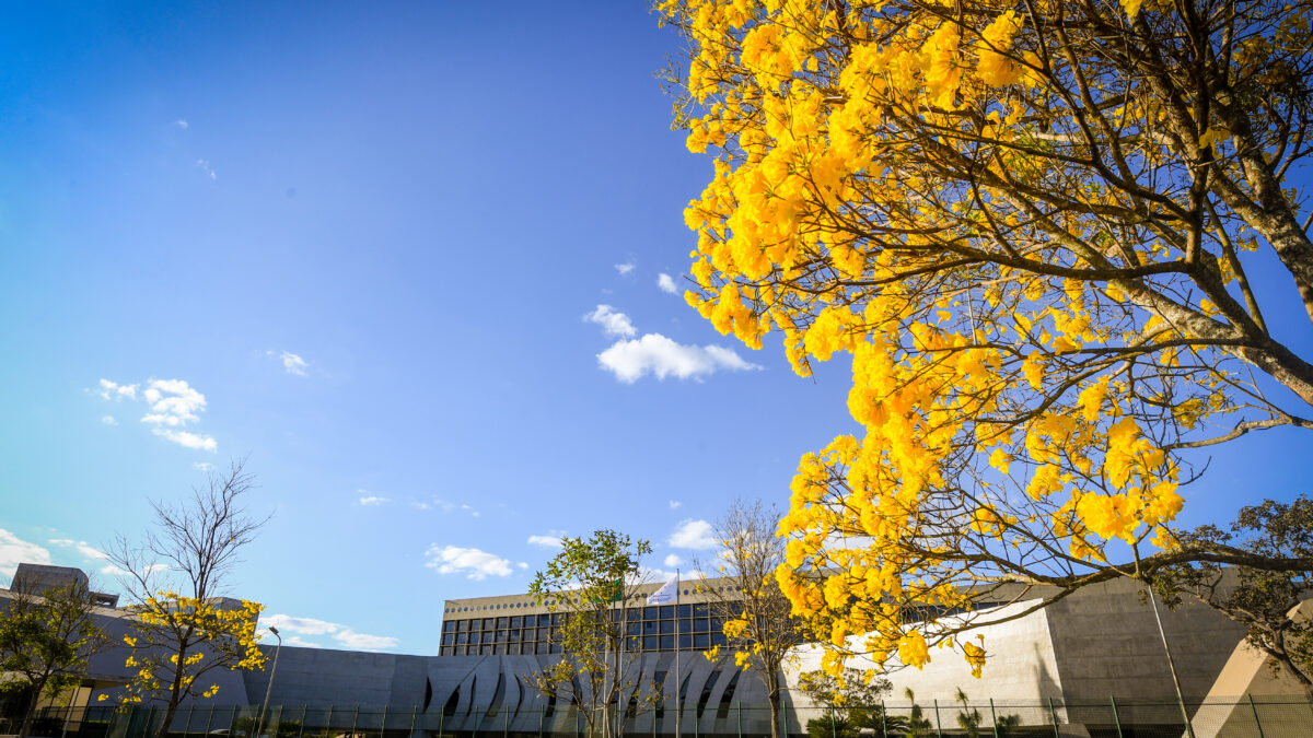 Fachada do Superior Tribunal de Justiça (STJ) em Brasília